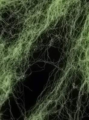 Produktbild von Glow in the Dark Spinnennetz - Halloween Deko