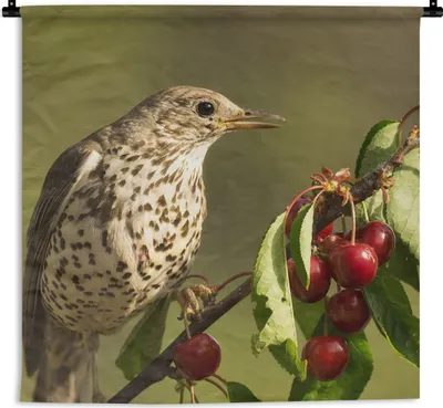 Produktbild von MuchoWow® Wandteppich Wandbehang Vogel auf einem Ast 60x60 cm Tapisserie Dekoration Wandtuch - Dekorationen - Wand Decke