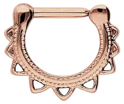 Produktbild von Ohrpiercing, Nasenpiercing, Septum Piercing Chirurgenstahl Clicker DESIGN