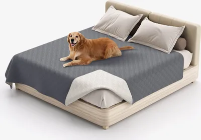 Image de (82x86 pouces, gris foncé) 100% imperméable couverture de lit pour chien couverture pour animaux de compagnie canapé protection pour meubles lit canapé réversible