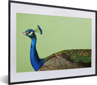 Produktbild von MuchoWow® MuchoWow® Gerahmtes Poster Pfau - Vogel - Federn 40x30 cm - Poster mit zchwarzem Bilderrahmen - Bilderrahmen - Poster im Rahmen