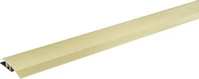 Produktbild von SKANDOR Anpassungsprofil champagner eloxiert inkl. Clipschiene 11x45x900 mm