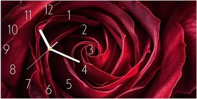 Produktbild von Wanduhr aus Glas mit Motiv Rose Makroaufnahme- 60 x 30 cm - inkl. Aufhängesystem