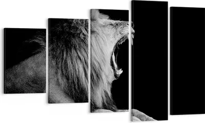 Produktbild von Bild auf Leinwand - Leinwandbild - 5 Teile - Löwe Gähnen Schwarz und Weiß - 100x60cm - Wand Bild - Wanddeko - Wandbilder - Leinwanddruck - Bilder - Wanddekoration - Leinwand bilder - EG100x60-4252