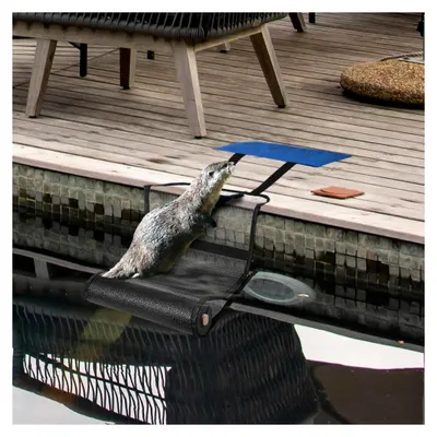 Produktbild von Ausstiegshilfe für kleine Tiere im Pool