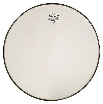 Image de Remo Renaissance Résonance 14''