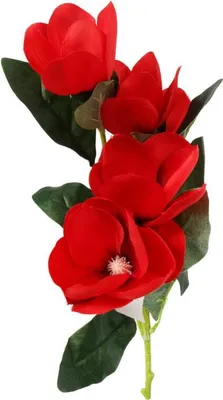 Zdjęcie produktu dla Gałązka Dekoracyjna z 5 Czerwonych Magnolii Wyglądających Jak Żywe, 45 cm