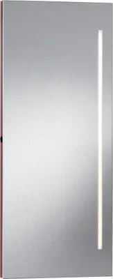 Produktbild von FACKELMANN Spiegel mit    / Wandspiegelelement mit Leuchtstoffröhre / Maße (B x H x T): ca. 42 x 100 x 5 cm / hochwertiger Spiegel / moderner Badezimmerspiegel / Breite 40 cm