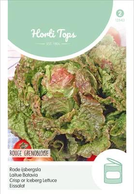 Image de Salade romaine Rouge Grenobloise | Graines de salade romaine de Hortitops