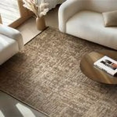 A rug in a living room setting with a sofa and coffee table.