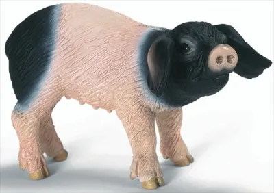 Produktbild von Schleich 13636 Schwäbisch-Hällisches Ferkel