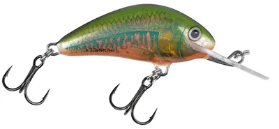 Produktbild von Salmo Hornet Wobbler Miniwobbler, Salmo Farben:Holo Oikawa, Länge/Gewicht/Laufverhalten/Tauchtiefe:2.5cm / 1.5g / sinkend / 0.5-1.0m