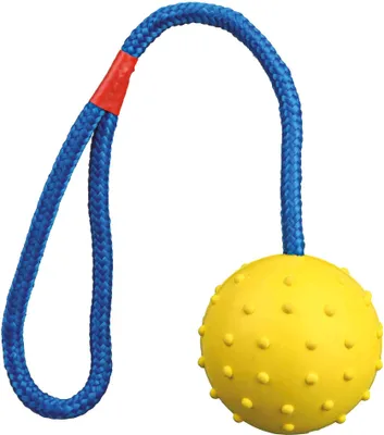 Obrázek produktu pro Hračka pes Míč hrbolatý na šňůrce 6cm/30cm Trixie