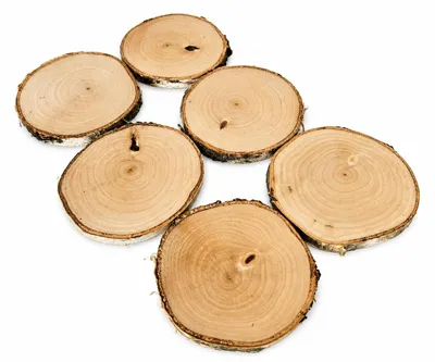 Produktbild von Geölter Becheruntersetzer aus Birkenholz – 6er-Set