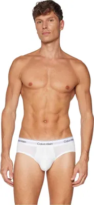 Zdjęcie produktu dla Calvin Klein Briefs 062900022005 in GREY/WHT color size medium