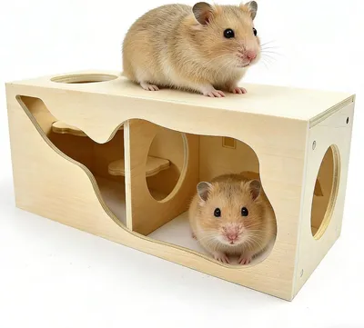 Immagine prodotto di Cuccia in legno per criceti, realizzata con materiali naturali, di dimensioni compatte, ideale per piccoli animali