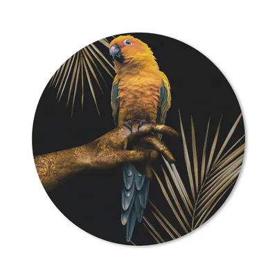 Produktbild von MuchoWow® Mauspad Mousepad Vogel - Papagei - Hand - Gold 40x40 cm - Mousepads - Maus Mat - Pad - Mausunterlage - Schreibtisch Accessoires