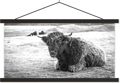 Produktbild von MuchoWow® Textilposter Schottisches Hochlandrind - Berg - Tiere 150x75 cm mit schwarzem Rahmen - Posterleiste