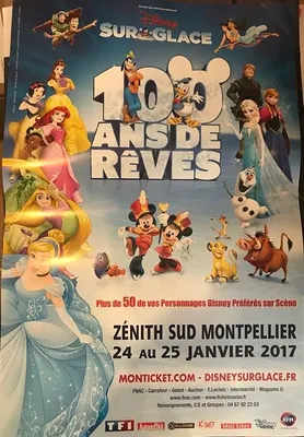 Imagen del producto de Disney Sur Glace - Princesa, 2017 - Póster - 40x60 cm