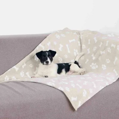 Produktbild von Trixie Decke Kenny - Beige - 75 × 50 cm