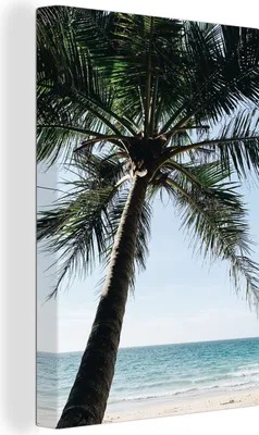 Produktbild von OneMillionCanvasses® - Leinwandbilder - 90x140 cm, Palme - Himmel - Gartenposter - Gartendekoration, Wandbilder Kunstdruck Wanddekoration - Foto auf Leinwand - Gemälde auf - Wandschmucke - Schlafzimmer