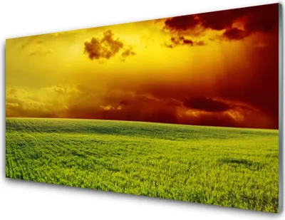 Produktbild von Acrylglasbilder 100x50 Wandbild Druck Acker Landschaft