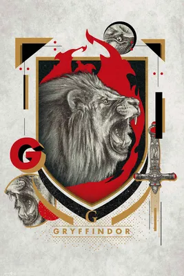 Obrázek produktu pro Harry Potter - Plakát - Nebelvír Ilustrativní