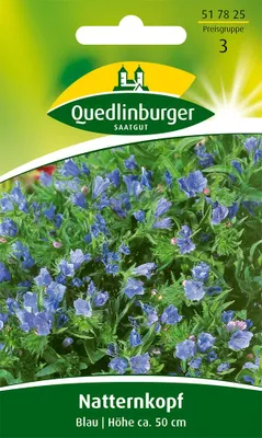 Immagine prodotto di Bugloss di vipera blu