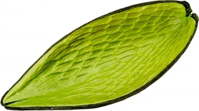 Produktbild von Canoinha apfelgrün