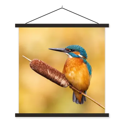 Produktbild von MuchoWow® Textilposter Eisvogel - Natur - Vogel 120x120 cm mit schwarzem Rahmen - Aufhängungsset