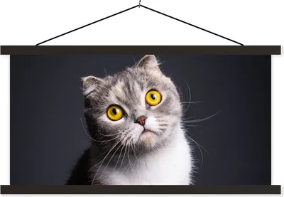 Produktbild von MuchoWow® Textilposter Katze - Augen - Licht 60x30 cm mit schwarzem Rahmen - Textilien