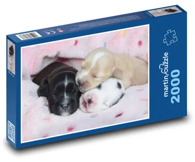 Obrázek produktu pro martinpuzzle - Puzzle 2000 - Tři spící štěňátka
