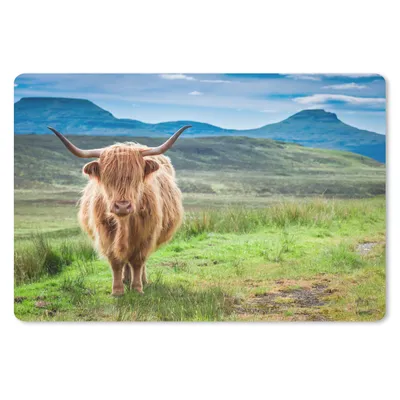 Produktbild von MuchoWow® Mauspad Mousepad Schottischer Hochländer - Kuh - Natur - Berg - Gras 27x18 cm - Mousepads - Maus Mat - Pad - Mausunterlage - Büroartikel - Desk Matten