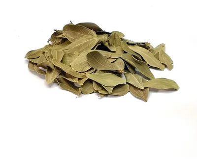Obrázek produktu pro BioVerde Listy brazilské 20g