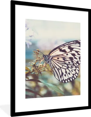 Produktbild von MuchoWow® Gerahmtes Poster Schmetterling - Blumen - Frühling 60x80 cm - Poster mit Schwarzem Bilderrahmen Wandposter Rahmen Foto Bilder - Wohnzimmer - Dekorationen - Prämie