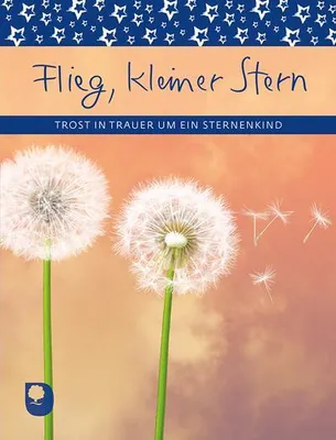 Produktbild von Flieg, kleiner Stern