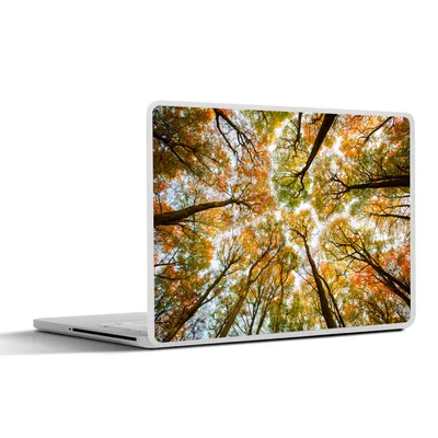 Produktbild von MuchoWow® Laptop Aufkleber Sticker Cover Wald - Bäume - Herbst 36.5x27.5 cm - Laptop-Sticker