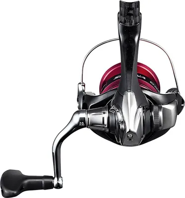 Image de Shimano Sienna C3000 FG
