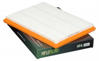 Produktbild von HIFLOFILTRO Luftfilter HFA6003