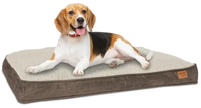 Produktbild von Hundebett Hundekorb Hundekissen 82 x 58 cm Waschbar & Rutschfest Happy Dreams M Braun ib style®