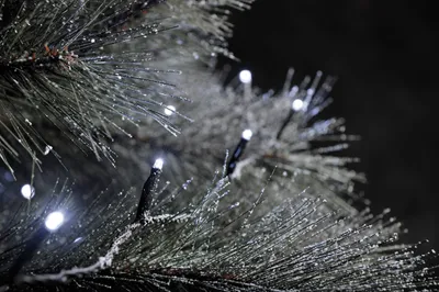 Produktbild von Konstsmide - Micro LED kompakt System Erweiterung: Lichterkette, 100 kalt weiße Dioden, Außen (IP44), schwarzes Kabel ; 3657-200