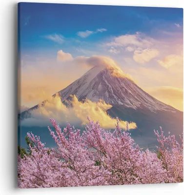 Produktbild von Bild auf Leinwand - Leinwandbild - Einteilig - Fuji Blume Kirsche - 40x40cm - Wand Bild - Wanddeko - Wandbilder - Leinwanddruck - Bilder - Wanddekoration - Leinwand bilder - Wandbild - AC40x40-4490