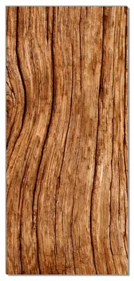 Produktbild von Wallario selbstklebende Türtapete 100 x 220 cm - Holzstamm - Abwischbar, rückstandsfrei zu entfernen