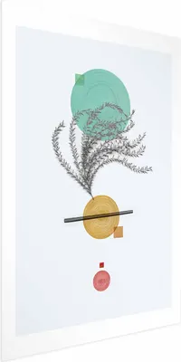 Produktbild von Posterpapier Poster - Plant Composition 21x30 cm Abstrakt n-A-0936-ao-a