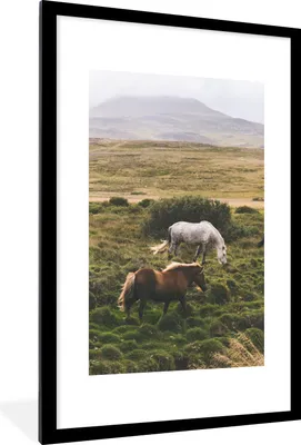 Produktbild von MuchoWow® MuchoWow® Gerahmtes Poster Pferde - Gras - Weiß 60x90 cm - Poster mit zchwarzem Bilderrahmen - Dekoration - Wandposter Wohnzimmer - Hochwertig