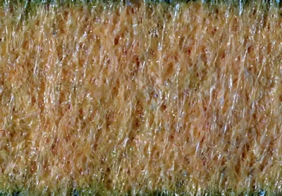 Produktbild von KNORR PRANDELL Polyesterfilz 30 x 45 x 03 cm 100 % Polyester gelb