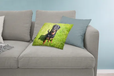 Produktbild von MuchoWow® Zierkissen Sofakissen Wohnzimmer Dekokissen 60x40 cm Rottweiler schaut seinen Besitzer an - Kopfkissen - Polster mit Foto