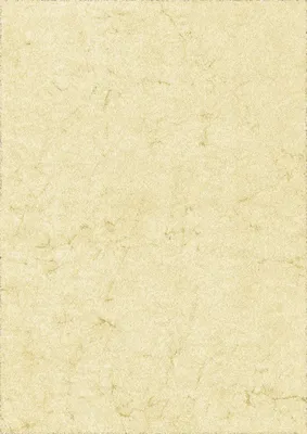 Produktbild von 100xRNK Verlag 2864 Dokumentenpapier (Elefantenhautpapier) 110g/qm chamois DIN A4