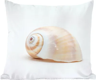 Produktbild von MuchoWow® Zierkissen Sofakissen Wohnzimmer Dekokissen 40x40 cm Tiere - Muschel - Spirale - Foto Kissen - Schlafzimmer Dekoration