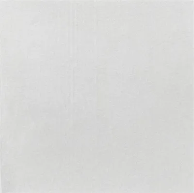 Zdjęcie produktu dla Papier kompostowalny Fiesta Fish & Chips biały 500x750mm (200 sztuk)